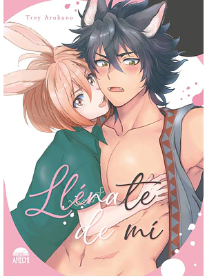 LLENATE DE MI - ARECHI