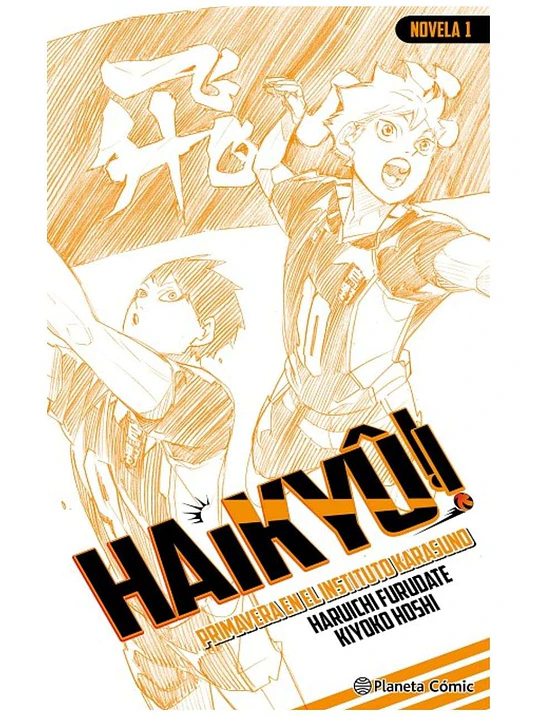 HAIKYU NOVELA 01 1