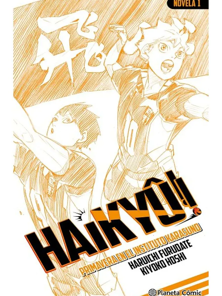 HAIKYU NOVELA 01 1