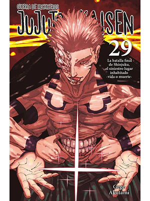 JUJUTSU KAISEN 29