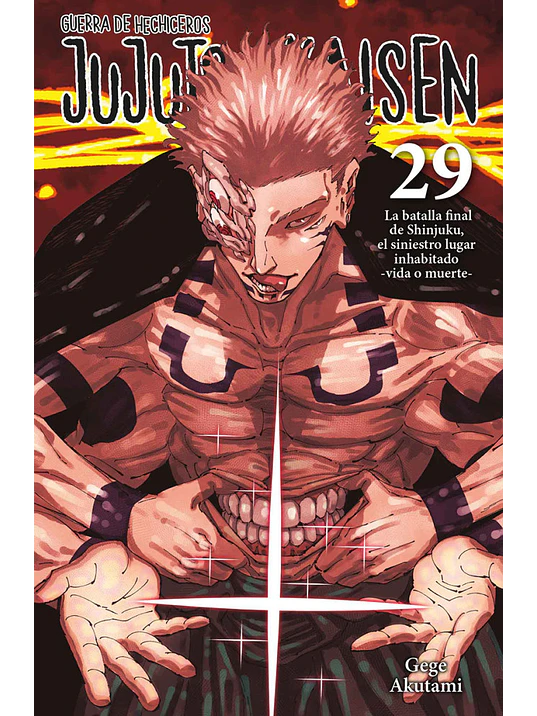 JUJUTSU KAISEN 29 1