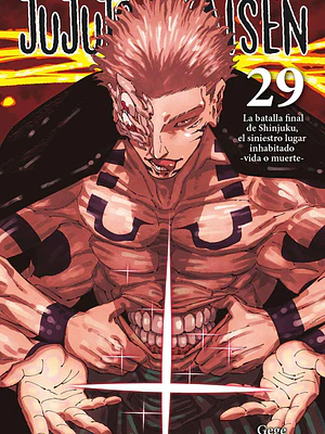 JUJUTSU KAISEN 29