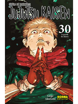 JUJUTSU KAISEN 30