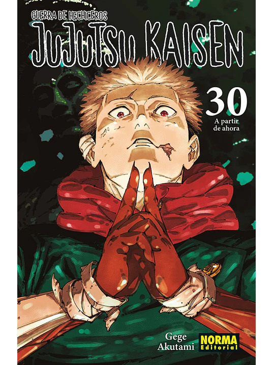 JUJUTSU KAISEN 30 1