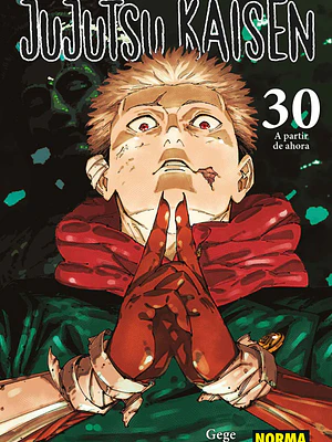 JUJUTSU KAISEN 30