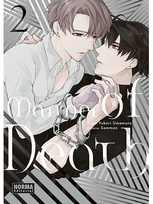 MANNER OF DEATH 02