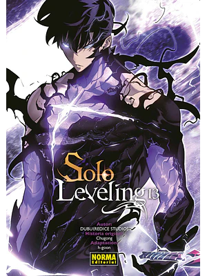SOLO LEVELING 13