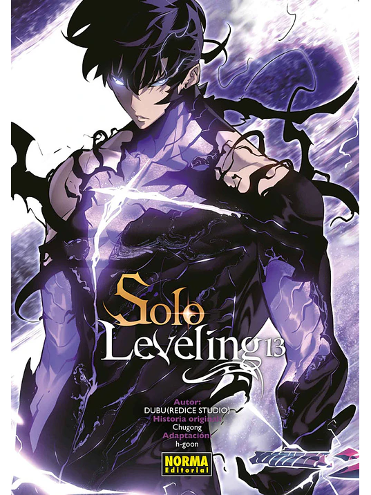 SOLO LEVELING 13 1
