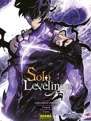 SOLO LEVELING 13