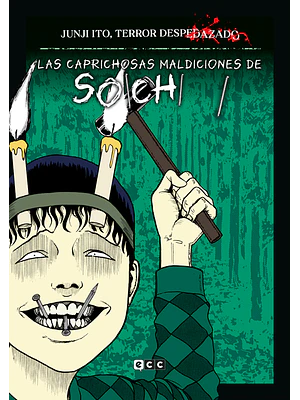 JUNJI ITO, TERROR DESPEDAZADO 13 DE 28 - LAS CAPRICHOSAS MALDICIONES DE SOICHI NUM. 1 - ECC