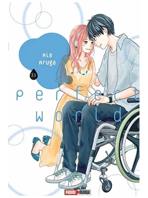 PERFECT WORLD 11 - PANINI ARGENTINA