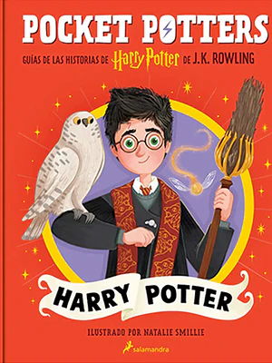 POCKET POTTERS - HARRY POTTER