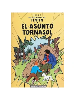 TINTIN - EL ASUNTO TORNASOL - JUVENTUD