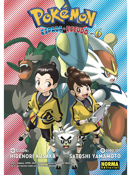 POKÉMON ESPADA Y ESCUDO 06 1