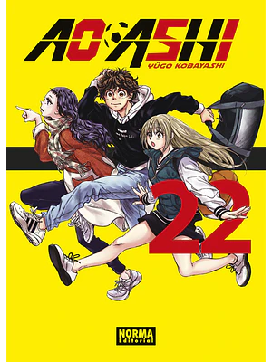 AO ASHI 22