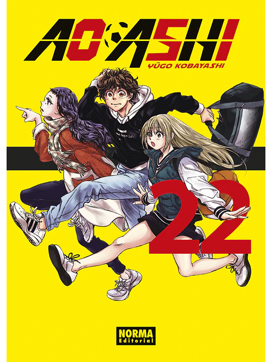 AO ASHI 22 1