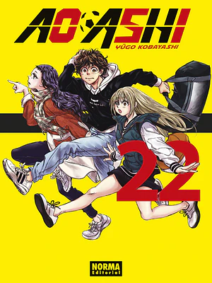 AO ASHI 22