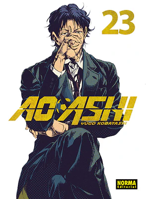AO ASHI 23