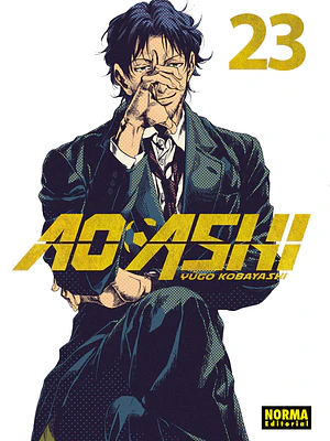 AO ASHI 23