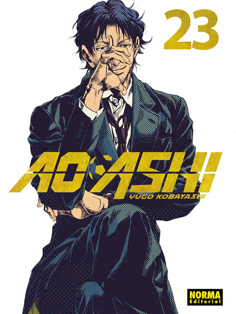 AO ASHI 23 1