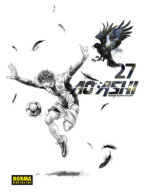 AO ASHI 27