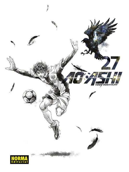 AO ASHI 27 1