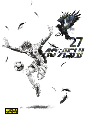 AO ASHI 27