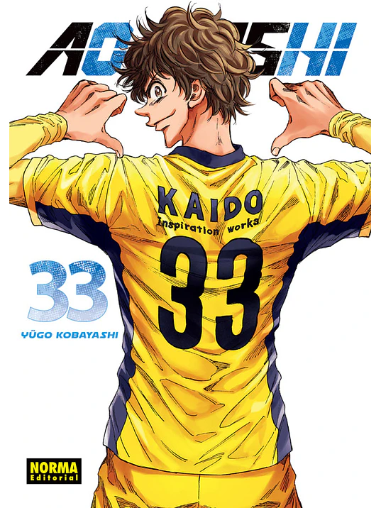 AO ASHI 33 1