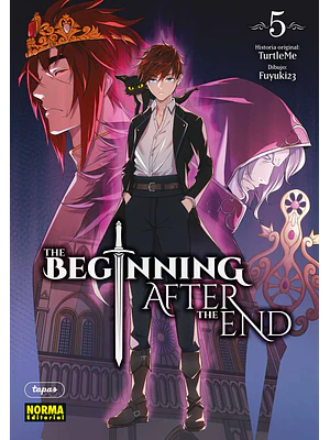 THE BEGINNING AFTER THE END 05