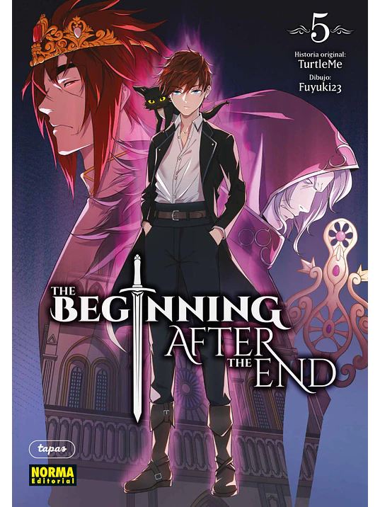 THE BEGINNING AFTER THE END 05 1