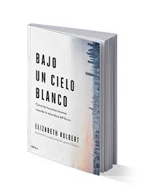 BAJO UN CIELO BLANCO - CRITICA