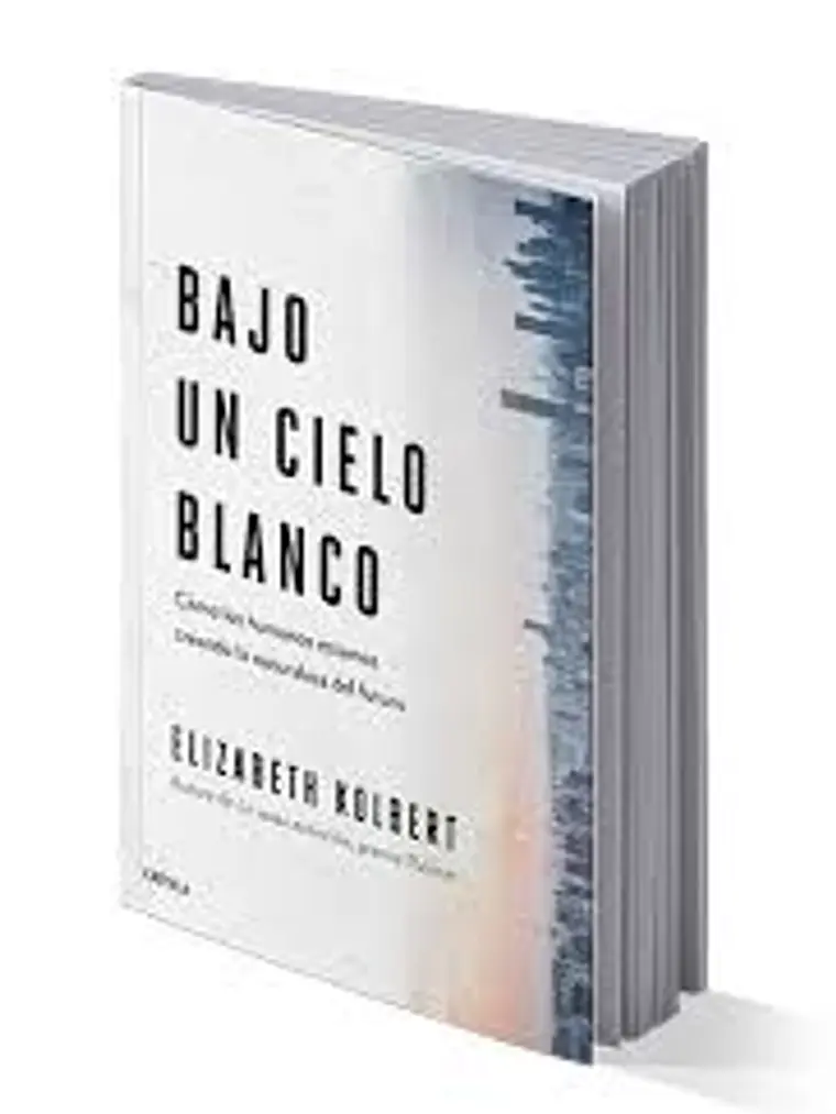 BAJO UN CIELO BLANCO - CRITICA 1