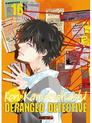 EL MISTERIO PROHIBIDO DE RON KAMONOHASHI 16