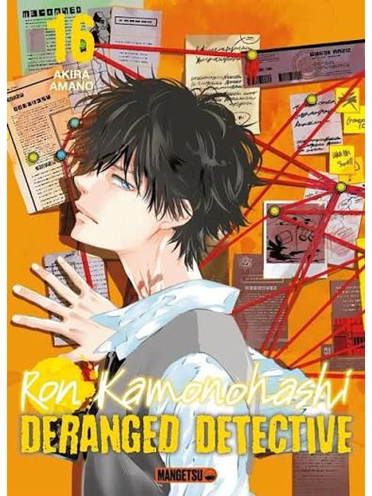 EL MISTERIO PROHIBIDO DE RON KAMONOHASHI 16 1