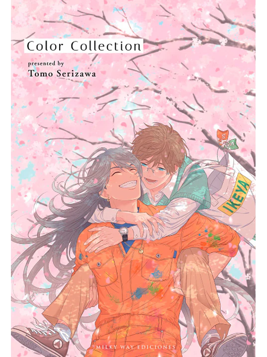PREVENTA - COLOR COLLECTION 1