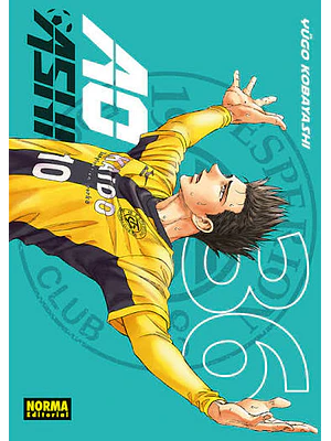 PREVENTA - AO ASHI 36