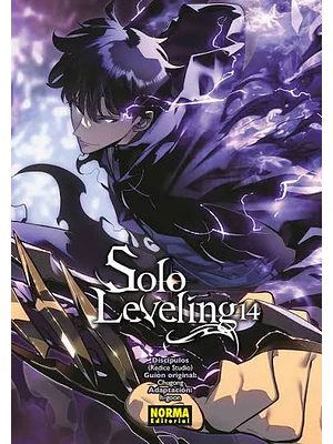 SOLO LEVELING 14