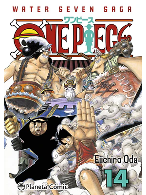 ONE PIECE 3 EN 1 14