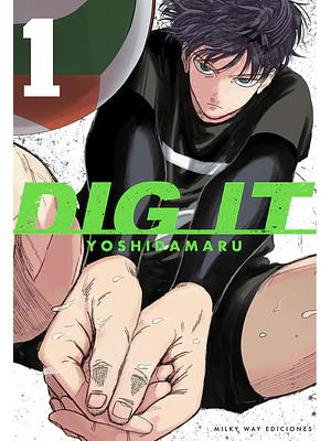 DIG IT 01