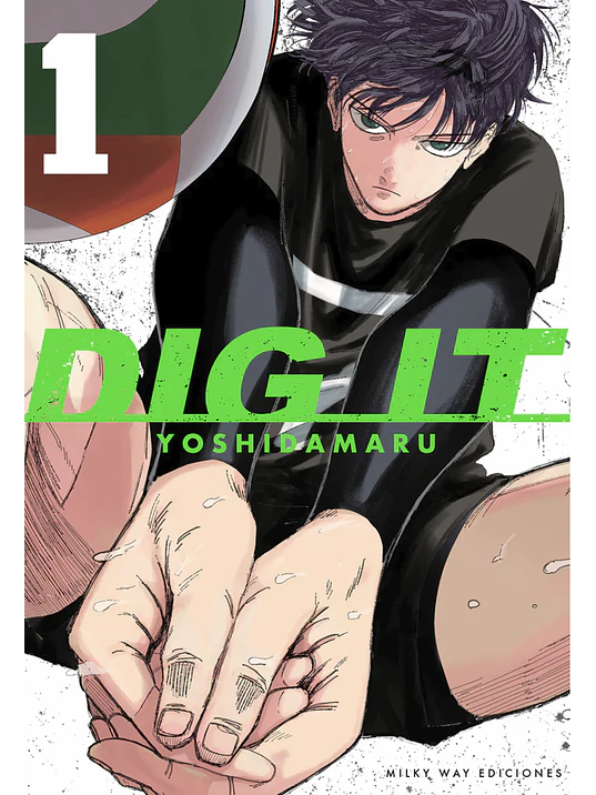 DIG IT 01 1