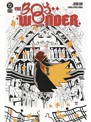 THE BOY WONDER DC BLACK LABEL