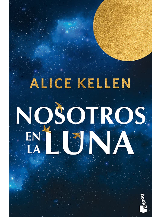 NOSOTROS EN LA LUNA 1