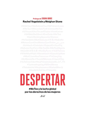 DESPERTAR - ARIEL