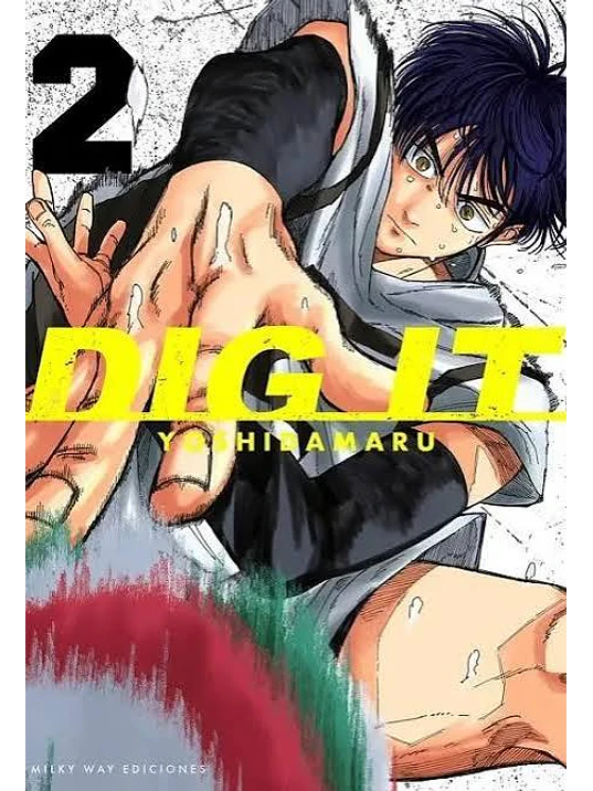 PREVENTA - DIG IT 02 1