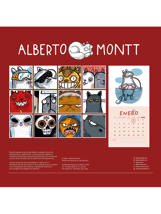 CALENDARIO ALBERTO MONTT 2