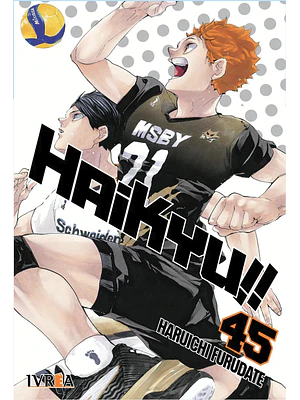 HAIKYU 45