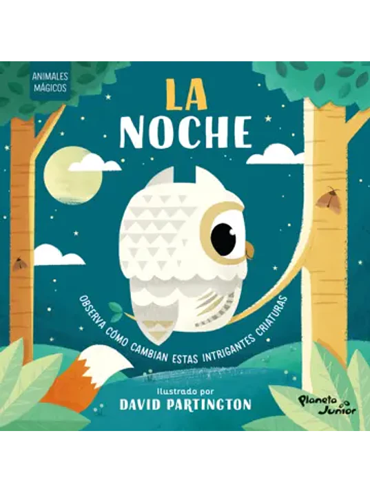 ANIMALES MAGICOS. LA NOCHE 1