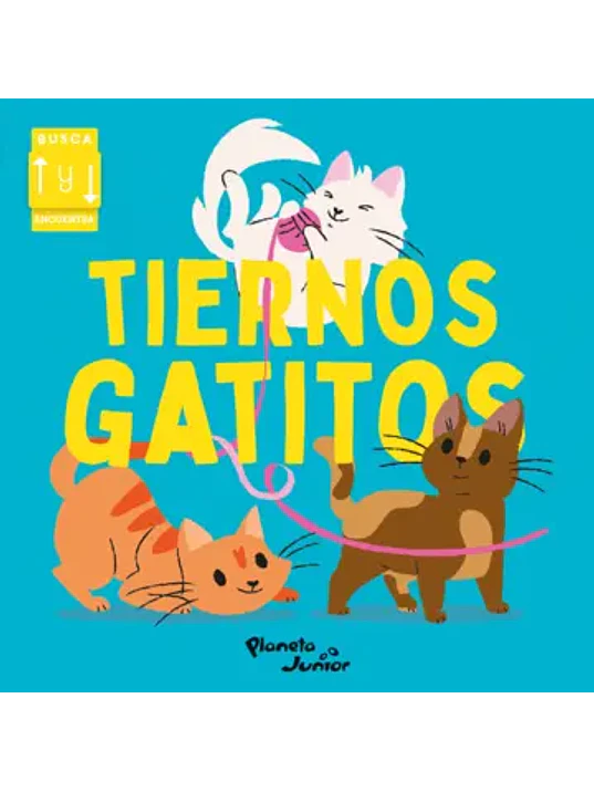 TIERNOS GATITOS 1