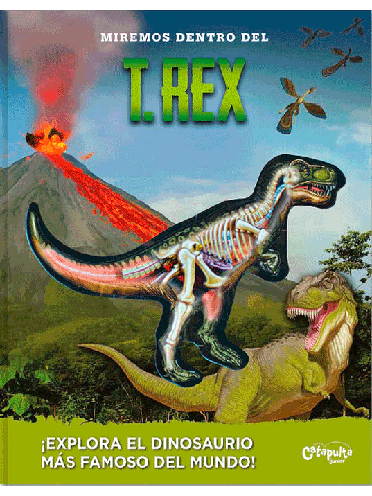MIREMOS DENTRO DEL T REX 1