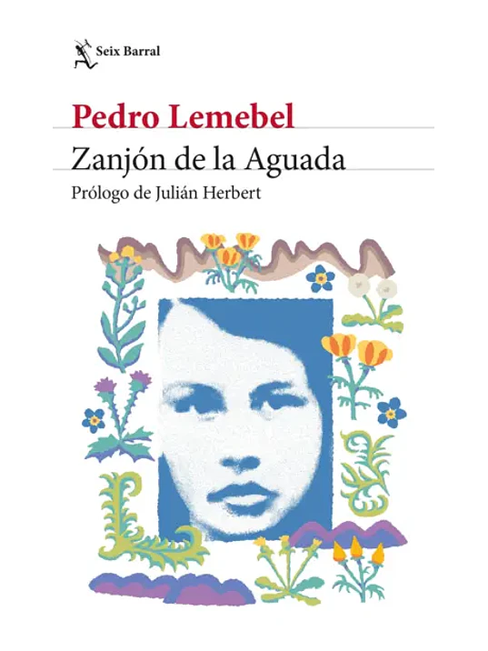 ZANJON DE LA AGUADA 1
